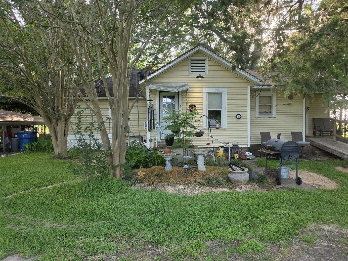 My mother's yellow house under the live oaks, May 2026