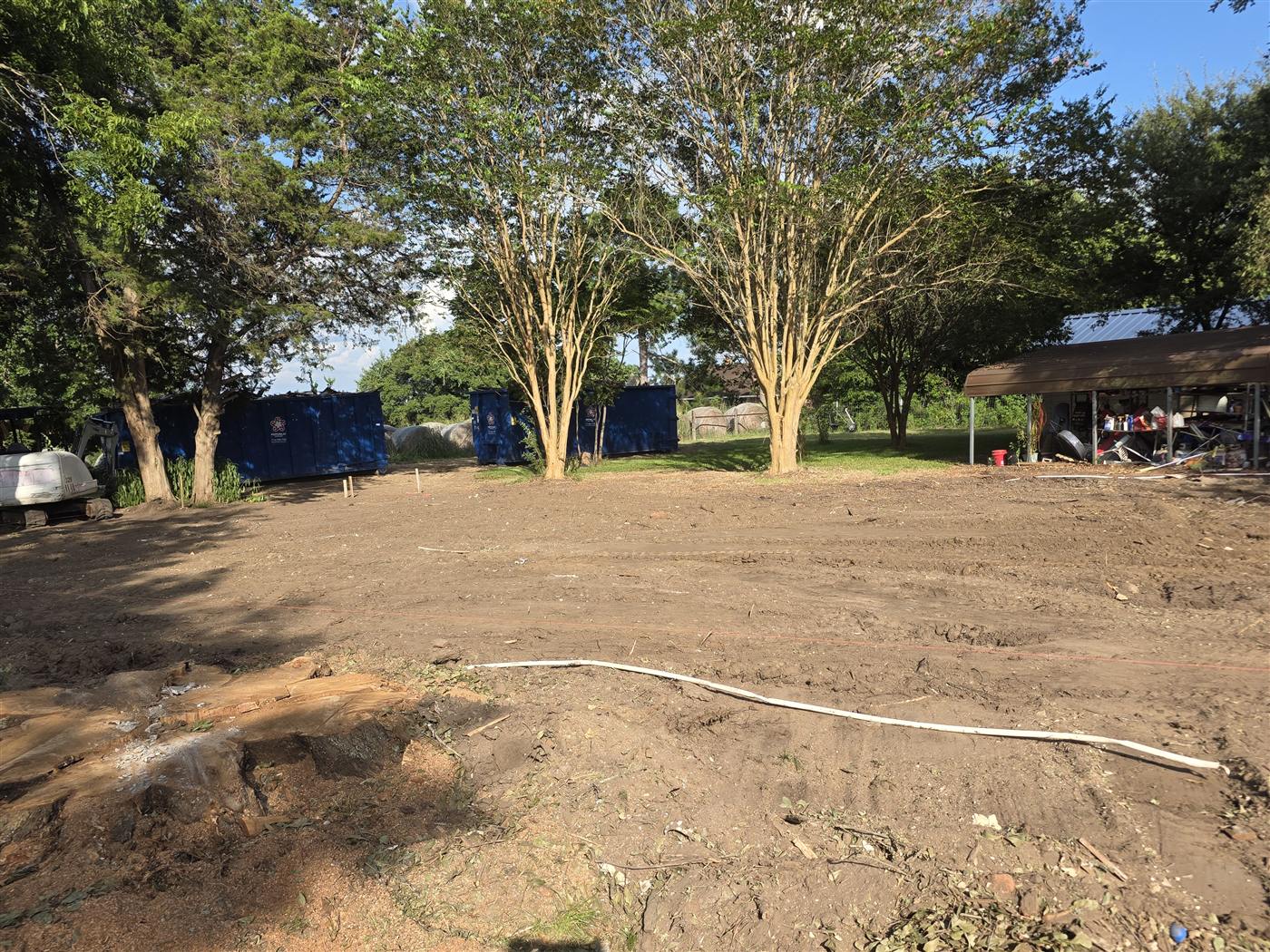 The same side of the yard with the house gone, 6 July